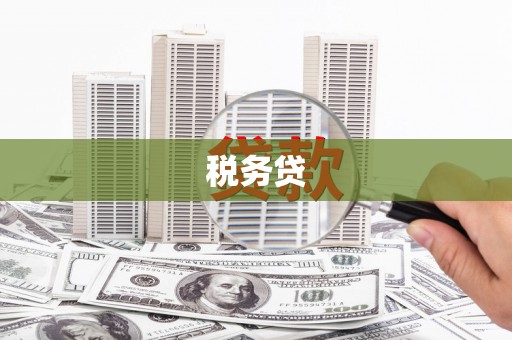 资兴税务贷