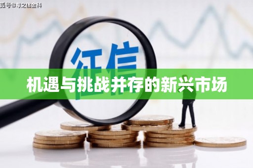 资兴机遇与挑战并存的新兴市场