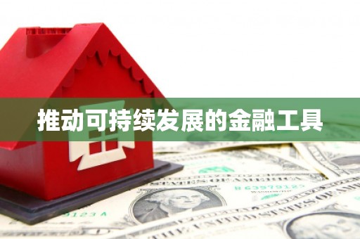 资兴推动可持续发展的金融工具