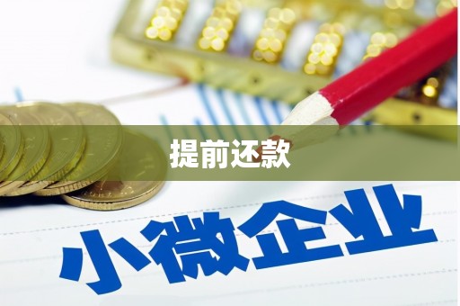 资兴提前还款