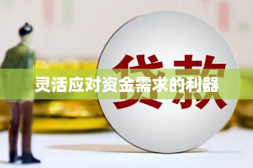 资兴灵活应对资金需求的利器