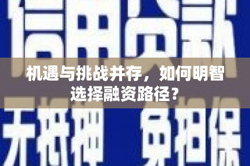 资兴机遇与挑战并存，如何明智选择融资路径？