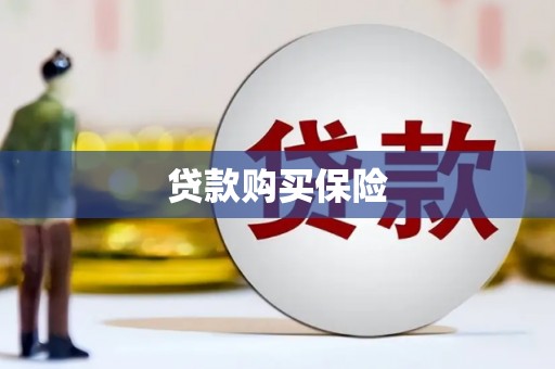 资兴贷款购买保险