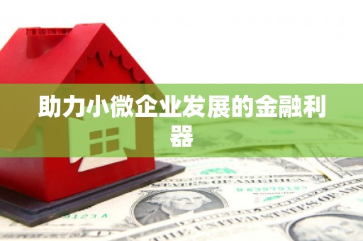 资兴助力小微企业发展的金融利器
