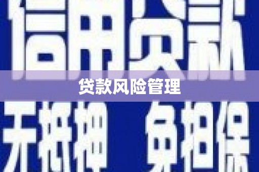 资兴贷款风险管理