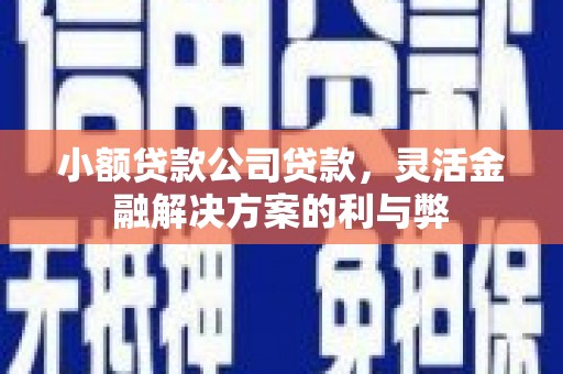 资兴小额贷款公司贷款，灵活金融解决方案的利与弊